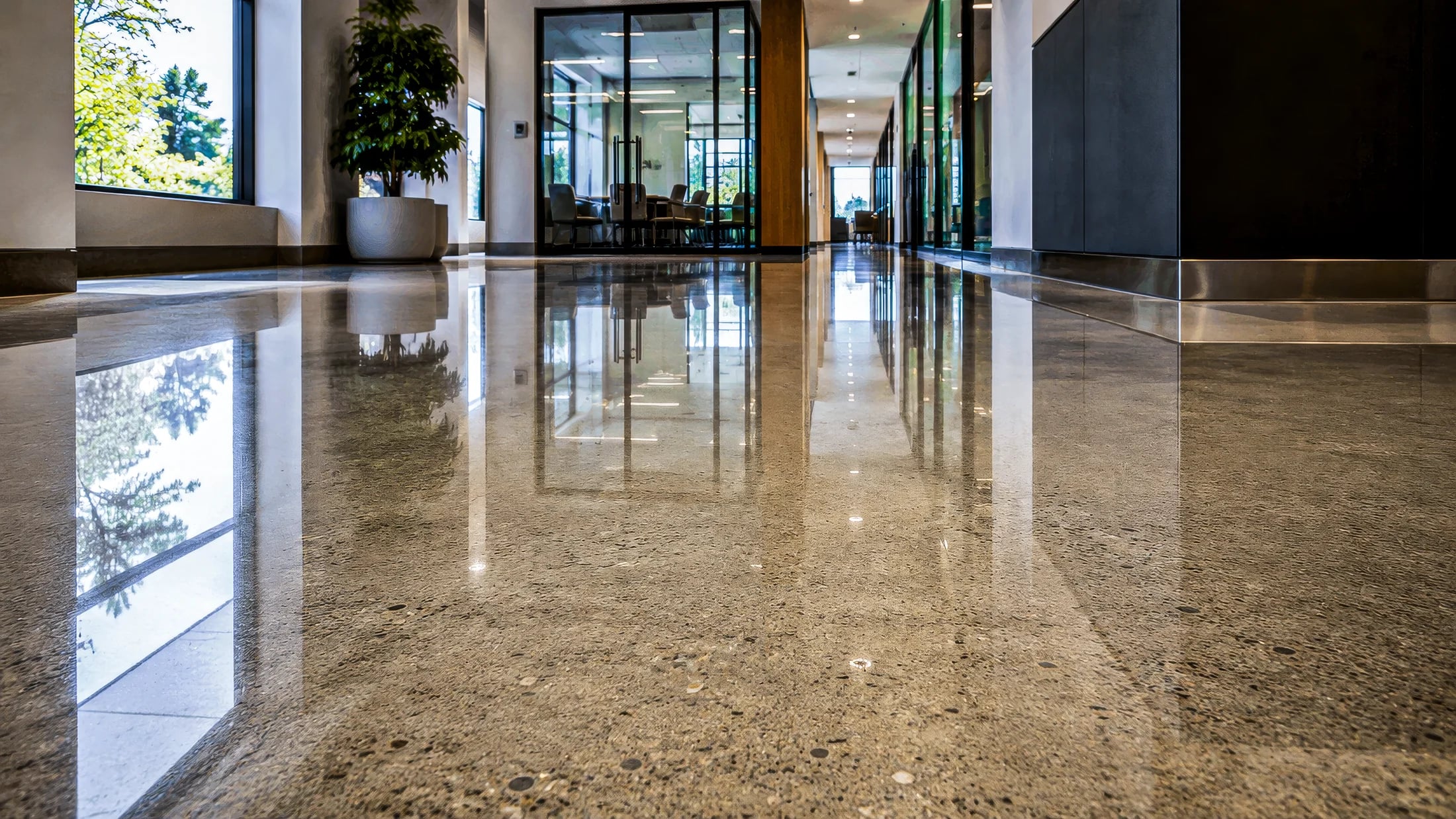 A bright modern lobby with a polished concrete floor.